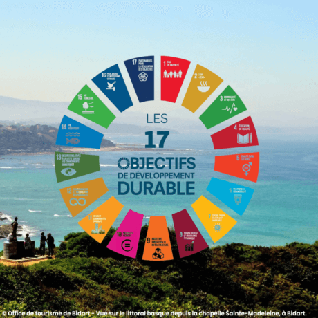 Pictogramme des 17 ODD - Aguila